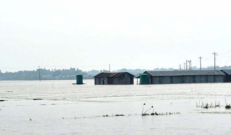 পদ্মায় পানি বৃদ্ধি: নদীপাড়ের ৪০ হাজার মানুষ পানিবন্দী পদ্মায় পানি বৃদ্ধি: নদীপাড়ের ৪০ হাজার মানুষ পানিবন্দী