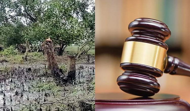 সোনাদিয়ায় প্যারাবন রক্ষায় ব্যবস্থা নিতে সচিবসহ দশ কর্মকর্তাকে আইনি নোটিশ