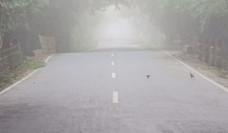 পঞ্চগড়ে হঠাৎ ঘন কুয়াশা, শীতের আগমনী বার্তার অনুভূতি