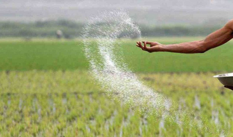 কৃষক পর্যায়ে সারের দাম না বাড়িয়ে ডিলারদের প্রণোদনা বাড়ানো হলো