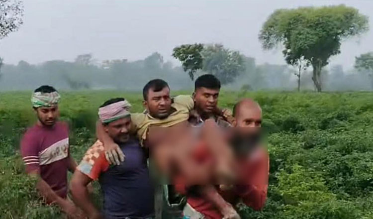 কুষ্টিয়া সীমান্তে বিএসএফের গুলিতে আহত হলেন কৃষক