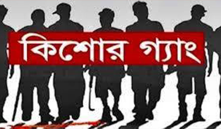 কিশোর গ্যাংয়ের তৎপরতা ঠেকাতে সব উপজেলায় কমিটি গঠনের উদ্যোগ