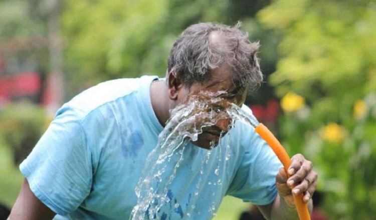হিট স্ট্রোকে আরও ৮ মৃত্যু