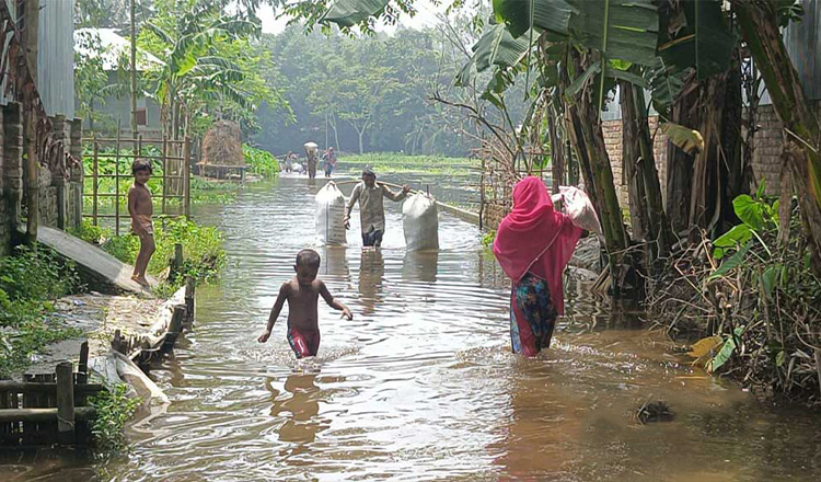 টানা বৃষ্টি ও উজানের পাহাড়ি ঢলে তিস্তার পানি বিপৎসীমা অতিক্রম, লালমনিরহাটে শতাধিক গ্রাম প্লাবিত