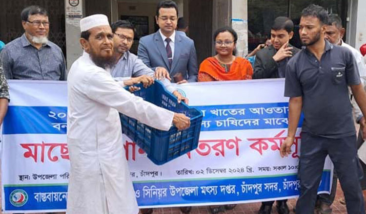 বন্যায় ক্ষতিগ্রস্ত মাছ চাষিদের মাঝে মাছের পোনা বিতরণ চাঁদপুরে