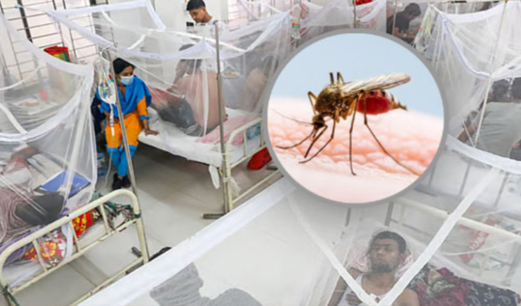 ডেঙ্গু আক্রান্ত হয়ে আরও ৫ জনের মৃত্যু, হাসপাতালে ভর্তি ১ হাজার ৩৬৬ জন