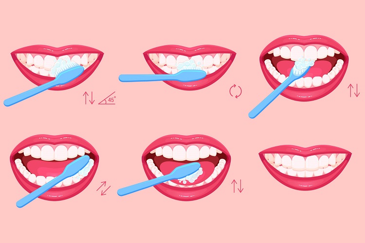 কত দিন পর পর দাঁত মাজার ব্রাশ বদলানো প্রয়োজন?